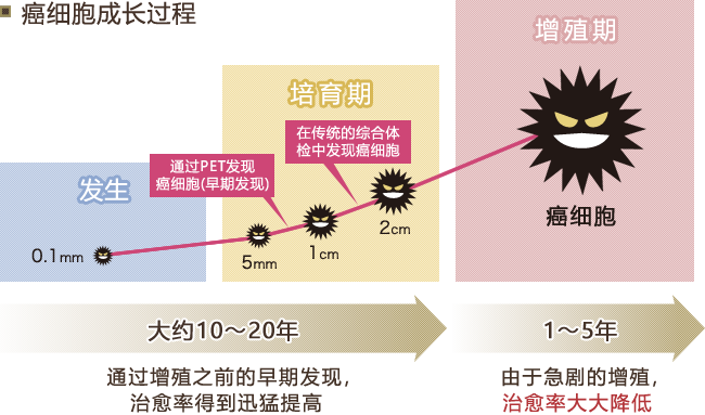 癌细胞成长过程