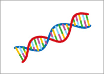 生活習慣病遺伝子検査