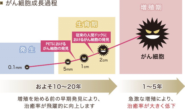 がん細胞成長過程