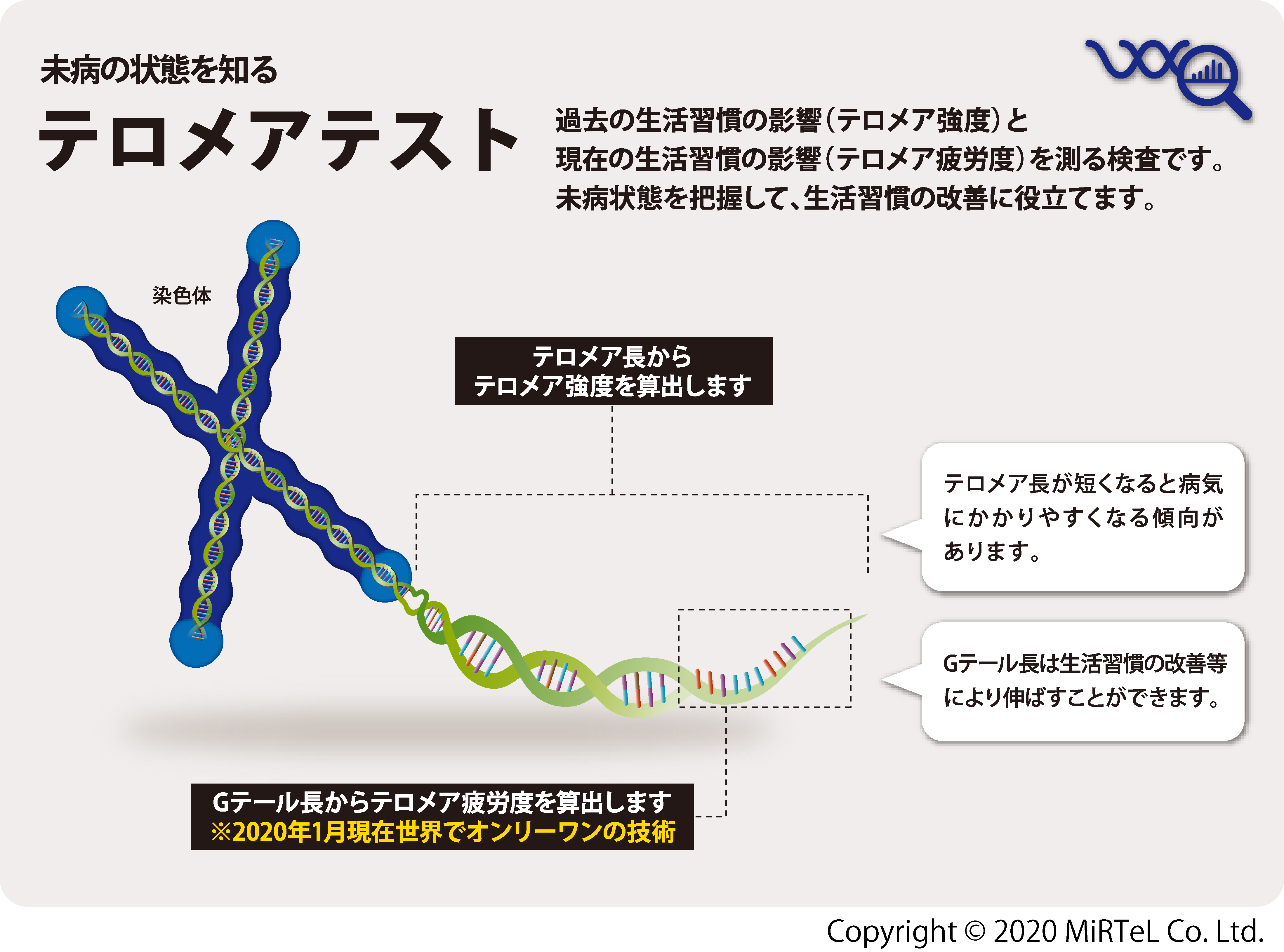 図1