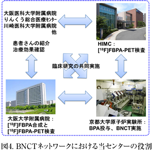 図4. BNCTネットワークにおける当センターの役割